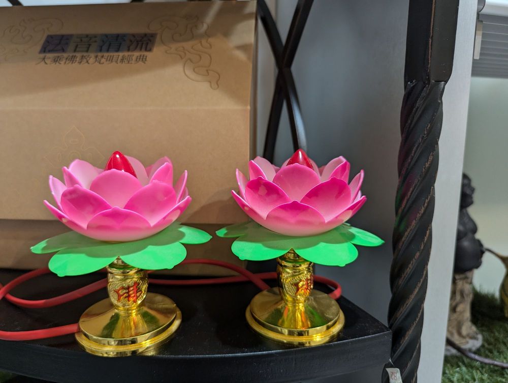 foodie adventure zen garden meetup photo